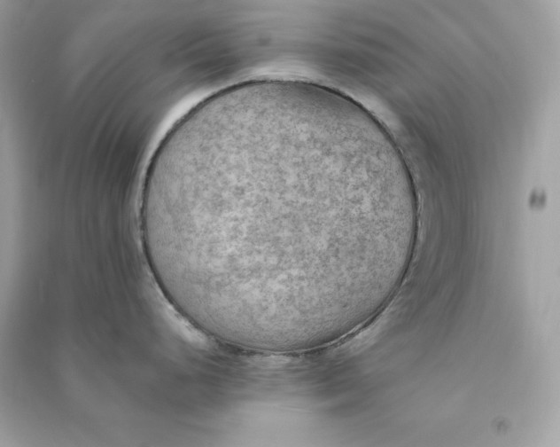X0000090781248200708101825
