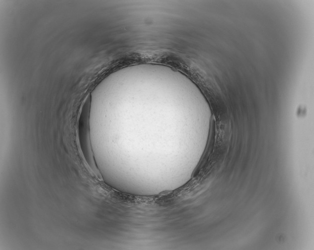 X0000090781249200708101825