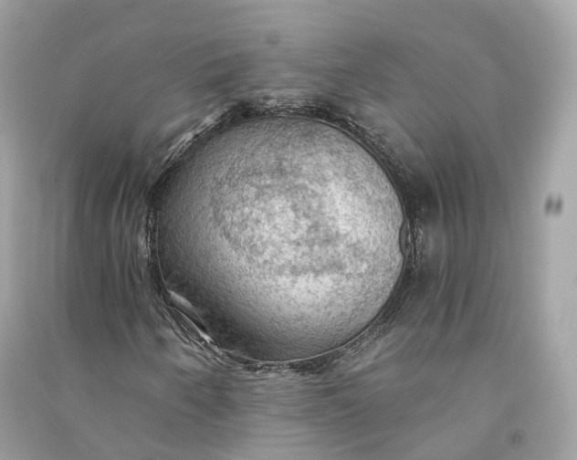 X0000090781250200708101825