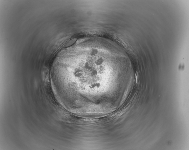 X0000090781251200708101825