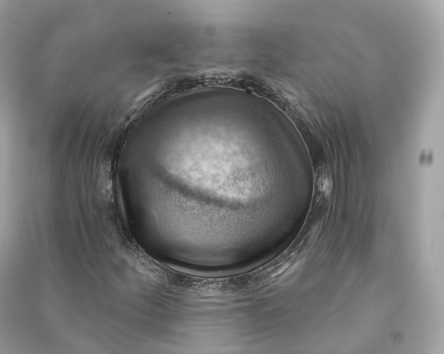 X0000090781252200708101825