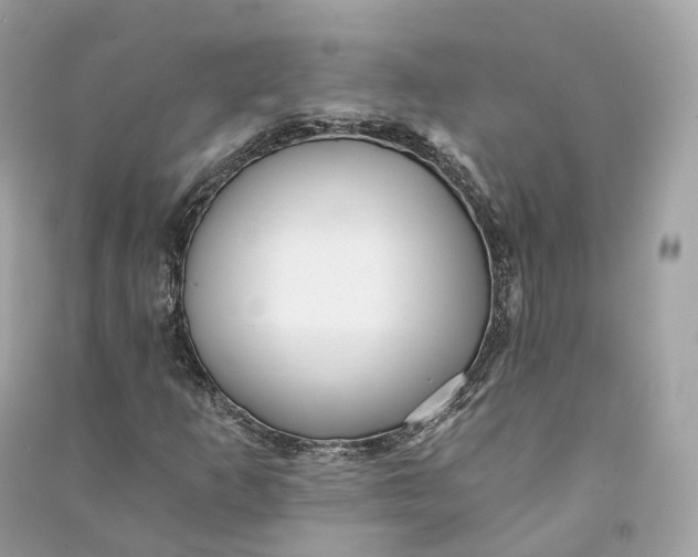 X0000090781253200708101825