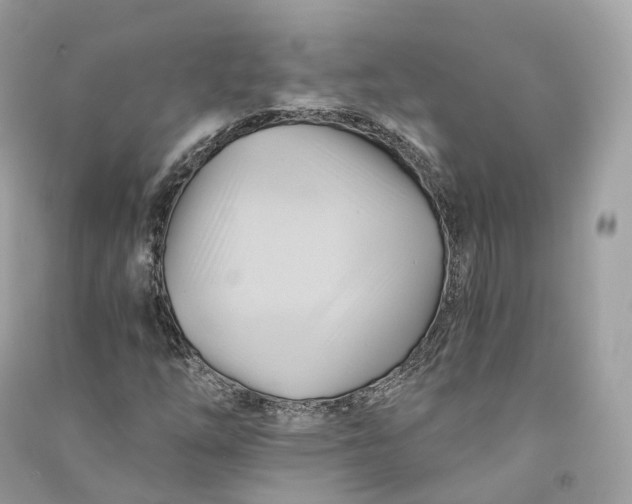 X0000090781254200708101825