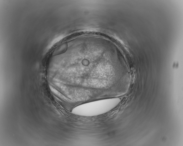 X0000090781255200708101825