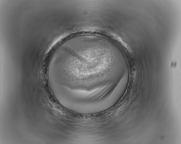 X0000090781256200708101825