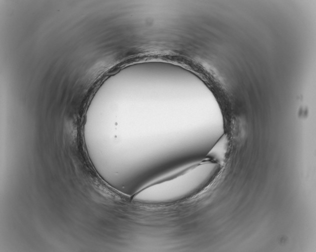 X0000090781257200708101824