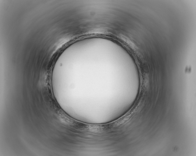 X0000090781258200708101824
