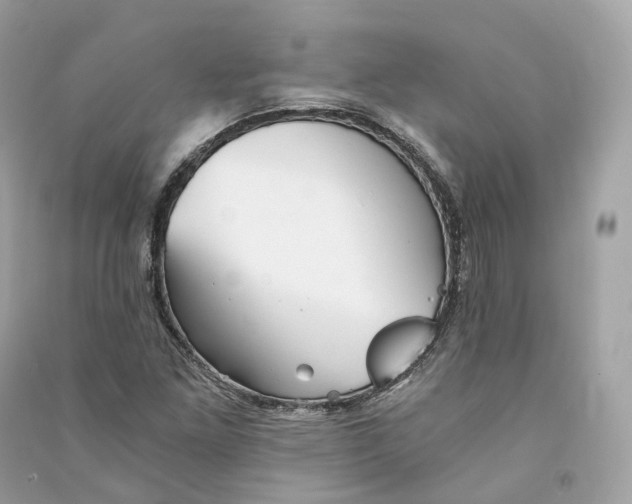 X0000090781261200708101824