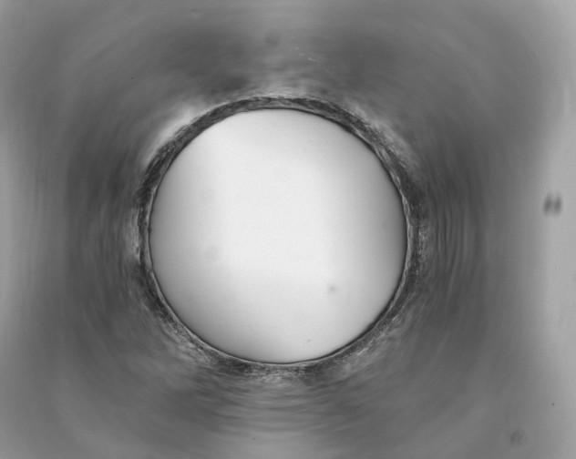 X0000090781262200708101824