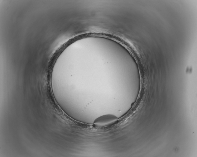 X0000090781263200708101824