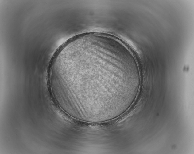 X0000090781264200708101824