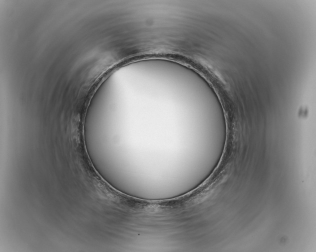 X0000090781265200708101824