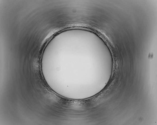X0000090781266200708101824