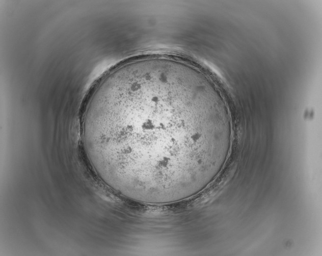 X0000090781267200708101824