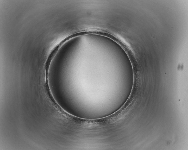X0000090781269200708101824