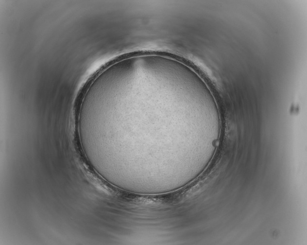 X0000090781270200708101824