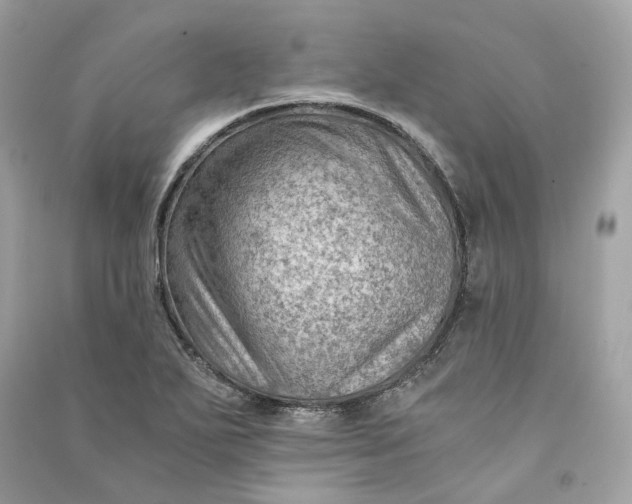 X0000090781271200708101824