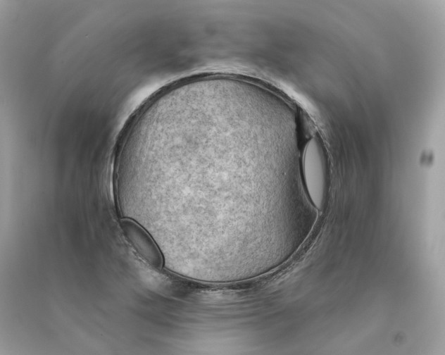 X0000090781272200708101824