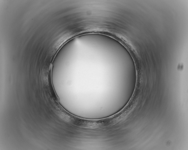 X0000090781273200708101824
