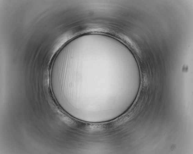 X0000090781274200708101824