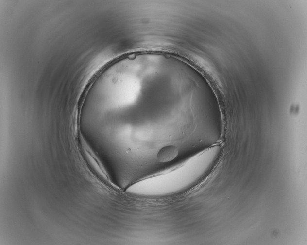 X0000090781275200708101824