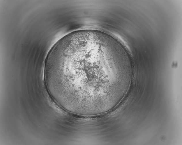 X0000090781276200708101824