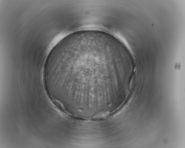 X0000090781277200708101824