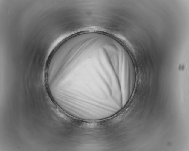 X0000090781278200708101824