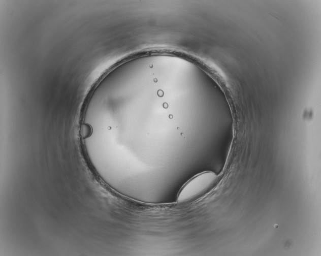 X0000090781279200708101824