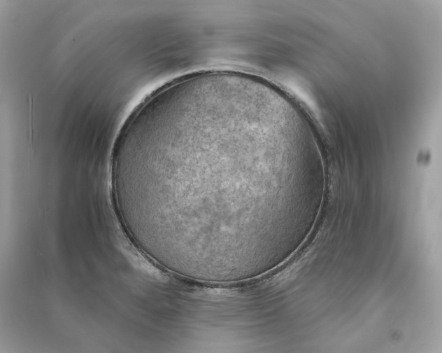 X0000090781280200708101824