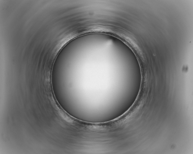 X0000090781281200708101824