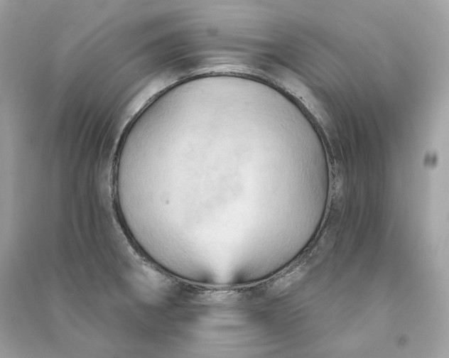 X0000090781282200708101824