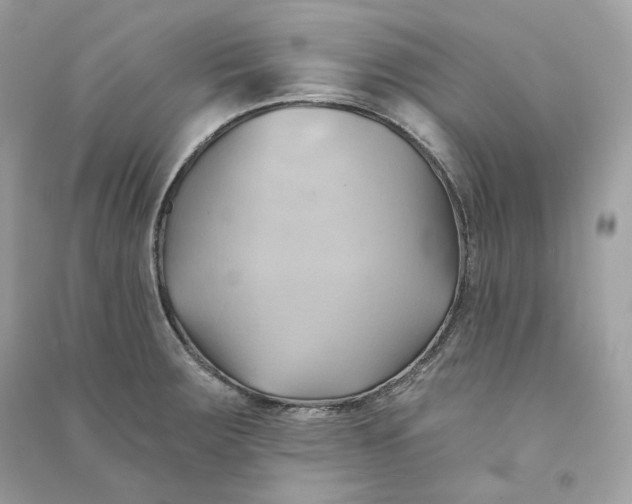 X0000090781283200708101824
