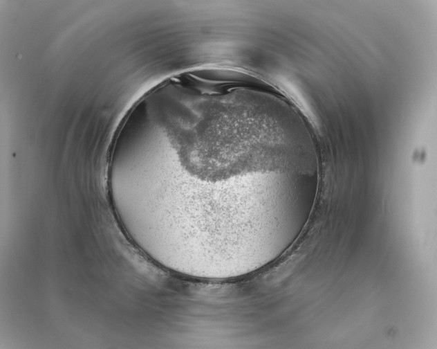 X0000090781284200708101824