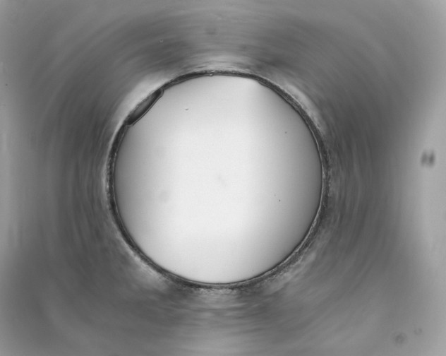 X0000090781285200708101824
