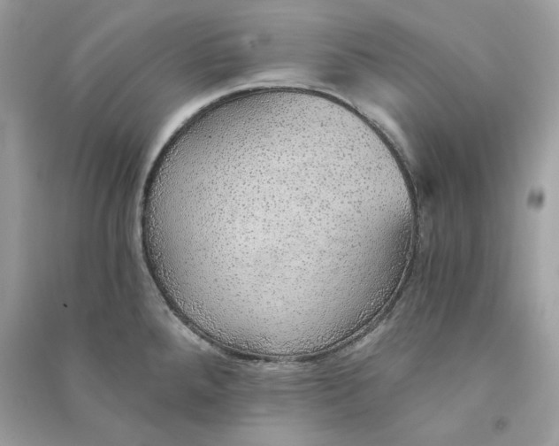 X0000090781288200708101824