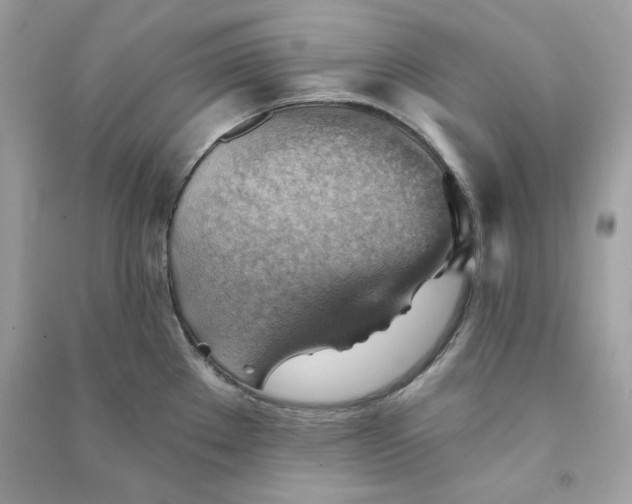 X0000090781289200708101824
