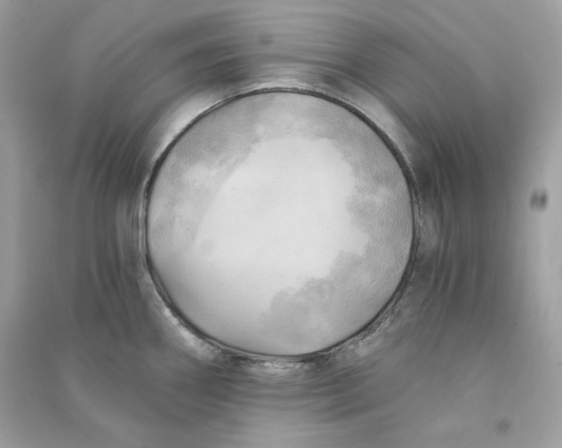 X0000090781290200708101824