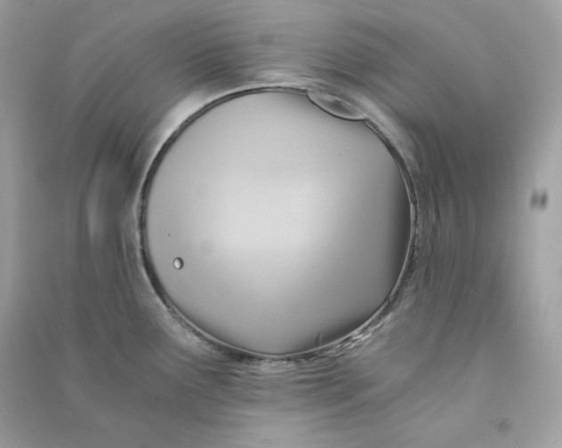 X0000090781291200708101824