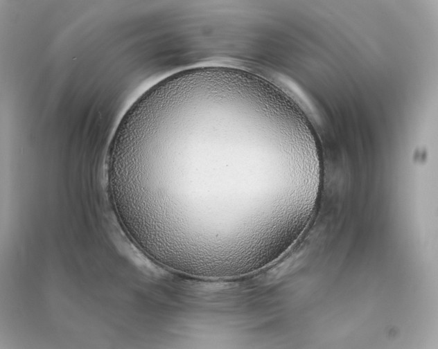 X0000090781292200708101824
