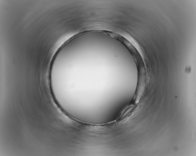 X0000090781293200708101824