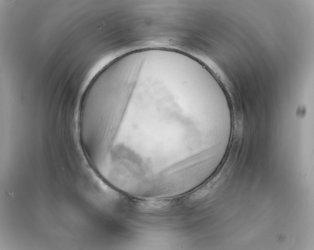 X0000090781294200708101824