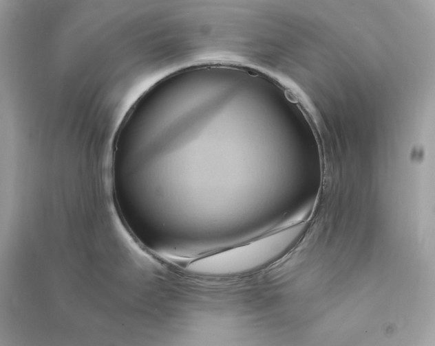 X0000090781295200708101824