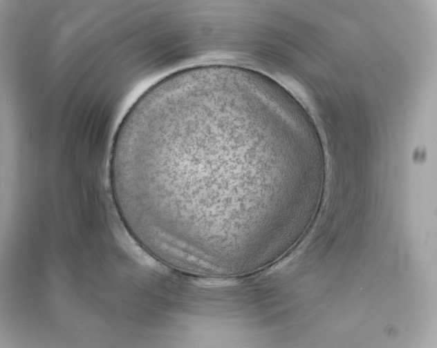 X0000090781296200708101824