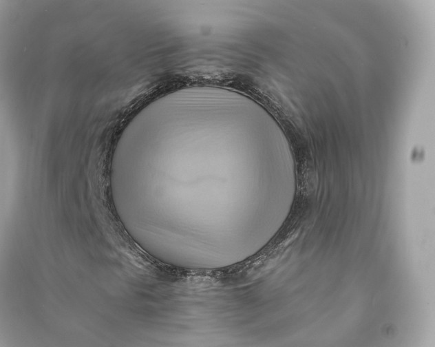 X0000090781297200708101823