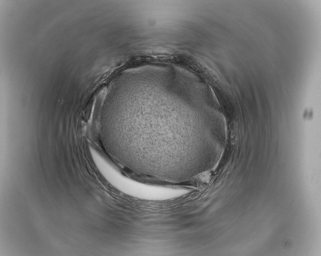 X0000090781298200708101823