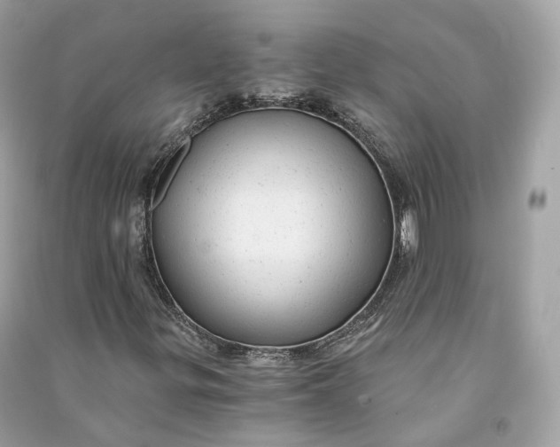 X0000090781299200708101823