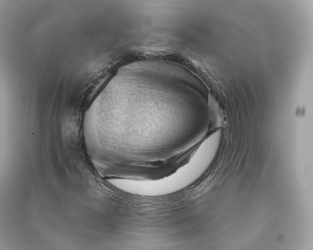 X0000090781300200708101823