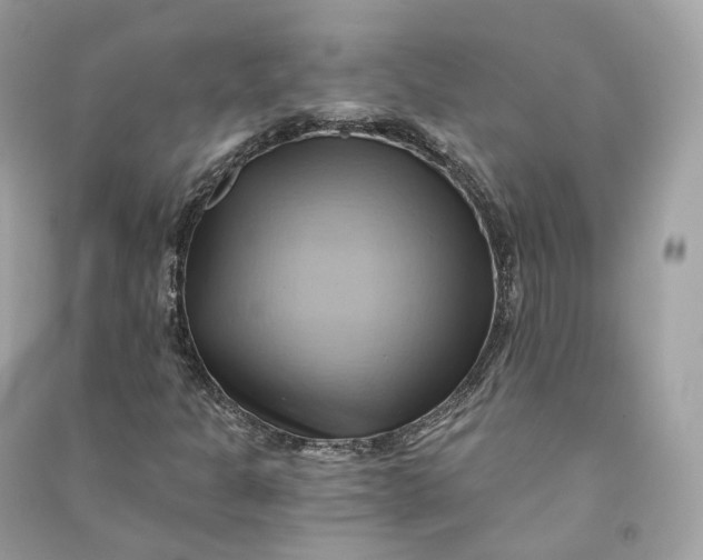 X0000090781301200708101823