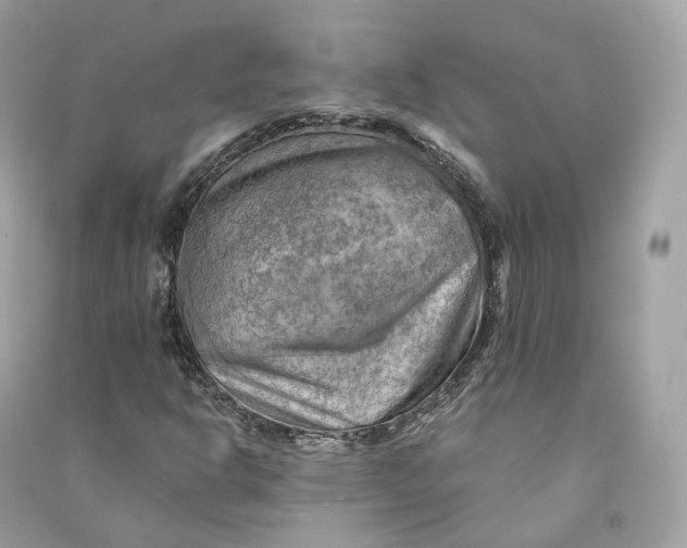 X0000090781302200708101823